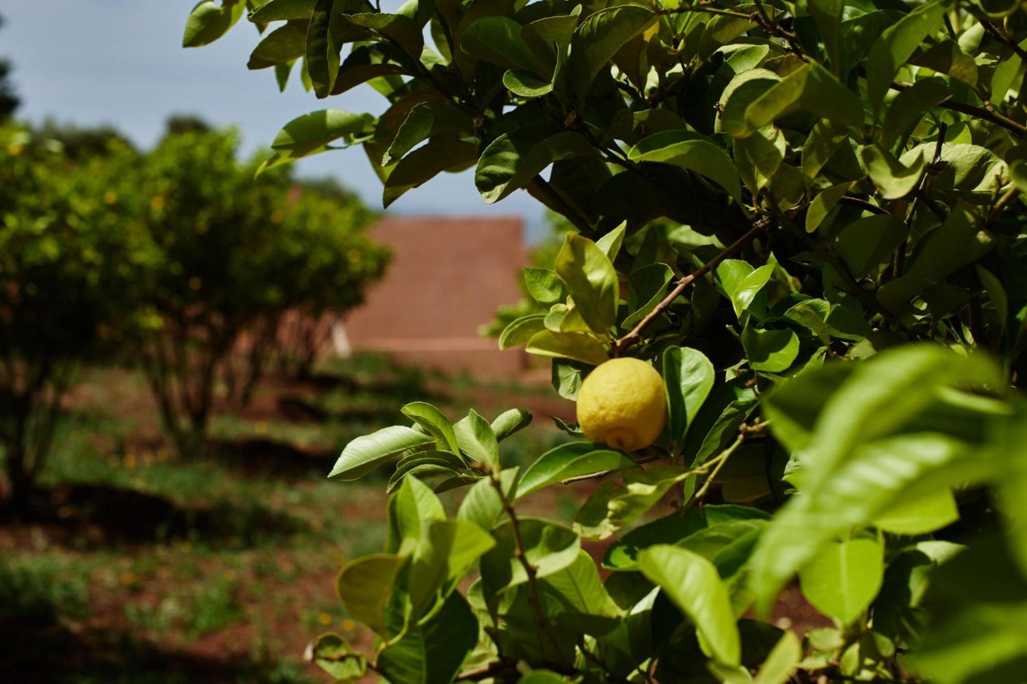 Dar Imiri Bed & Breakfast Ourika Dış mekan fotoğraf